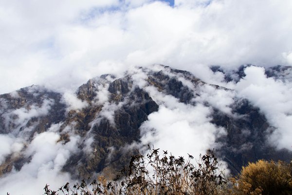 Tourisme Jura Bresse