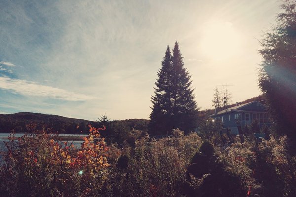 Quelle est la meilleure période pour une randonnée à travers les vignobles de Bourgogne?