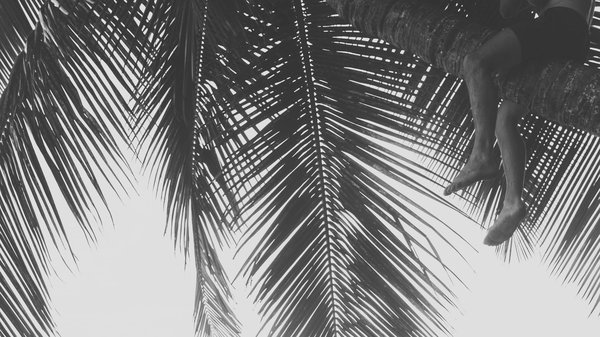 Quels sont les endroits les plus paisibles pour une retraite de yoga en Provence?